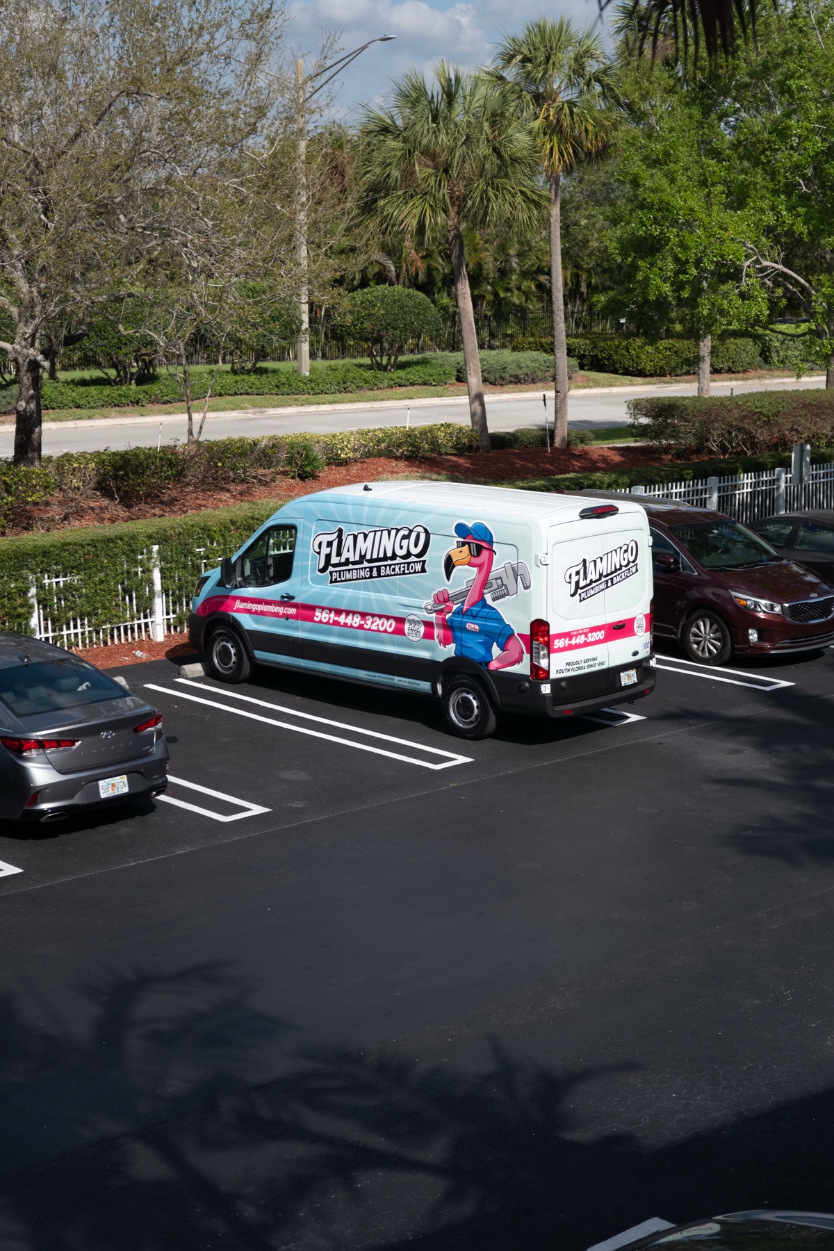 Aerial view of the Flamingo fleet